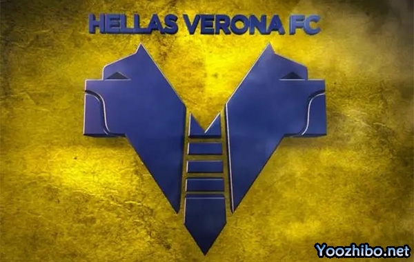 维罗纳:2023-24赛季十大进球精彩回顾